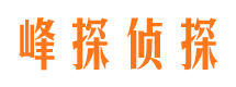 水富市私家侦探